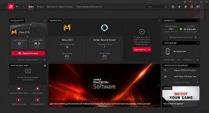 AMD Radeon Software screenshot 1